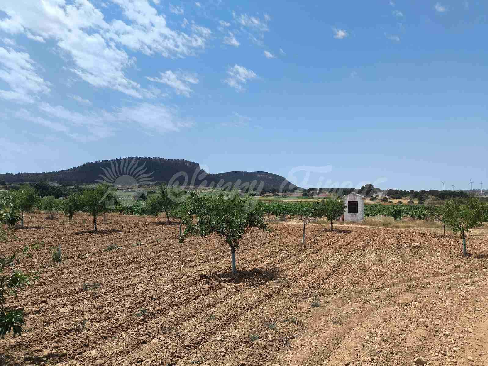 2 bedroom Finca/Country House for sale in Jumilla - € 58,000 (Ref: 9841087)