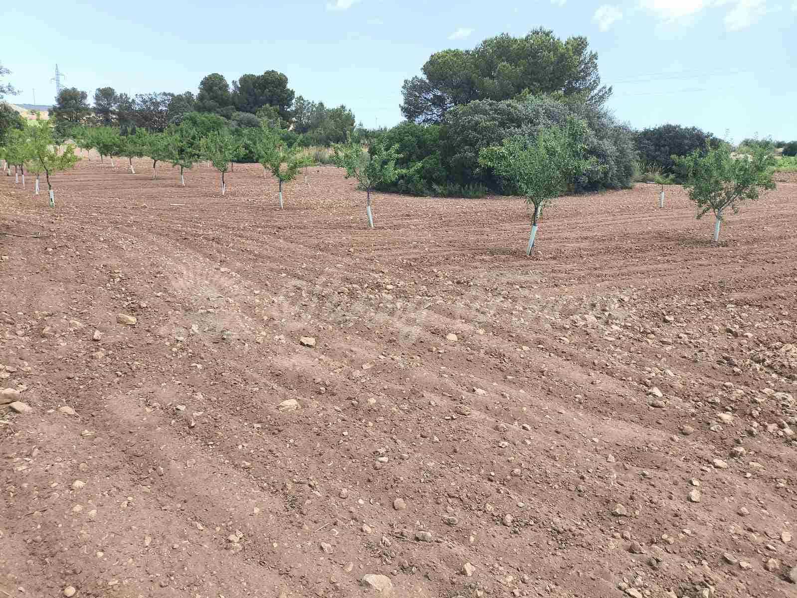 2 bedroom Finca/Country House for sale in Jumilla - € 58,000 (Ref: 9841087)