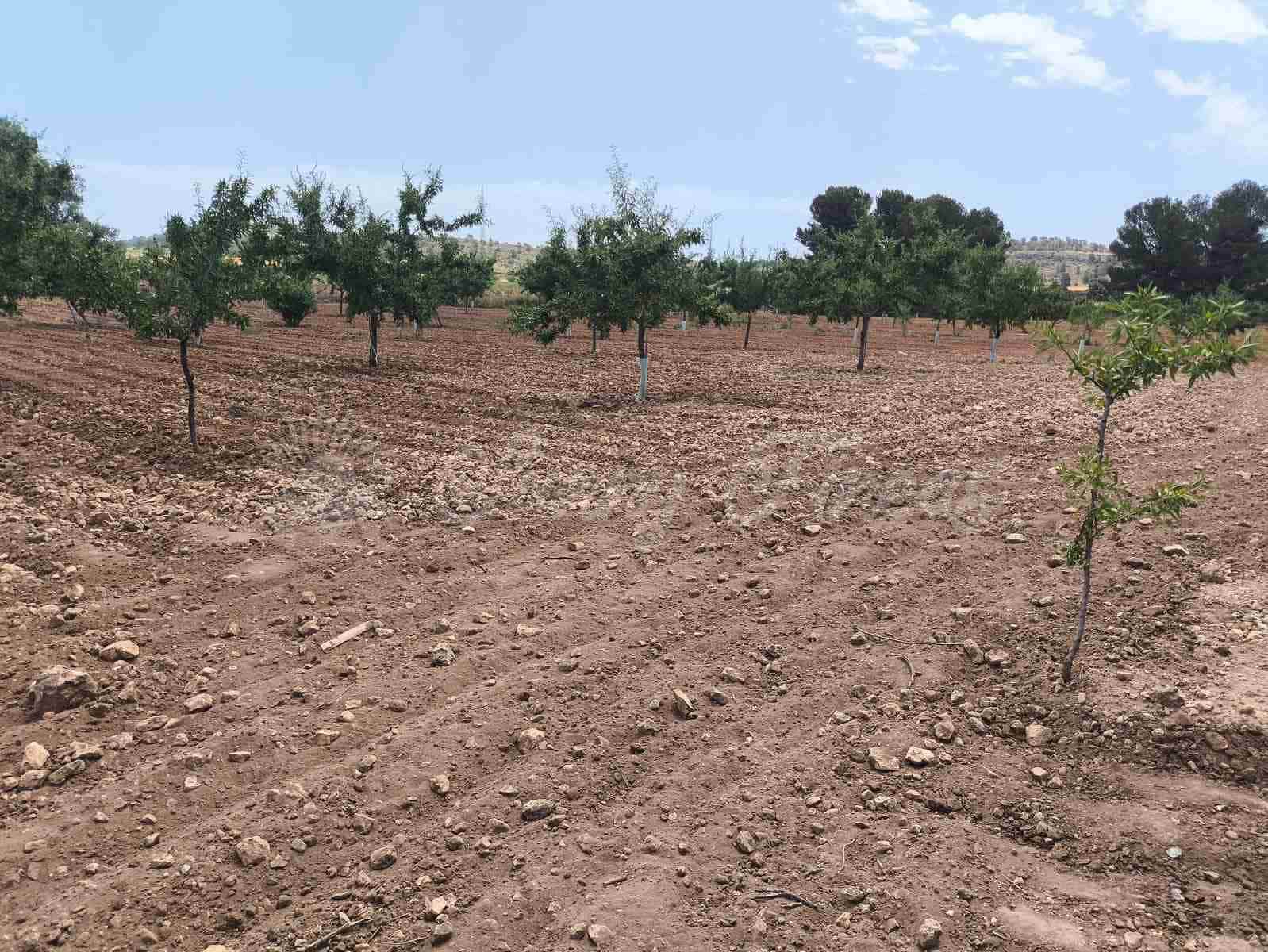 2 bedroom Finca/Country House for sale in Jumilla - € 58,000 (Ref: 9841087)