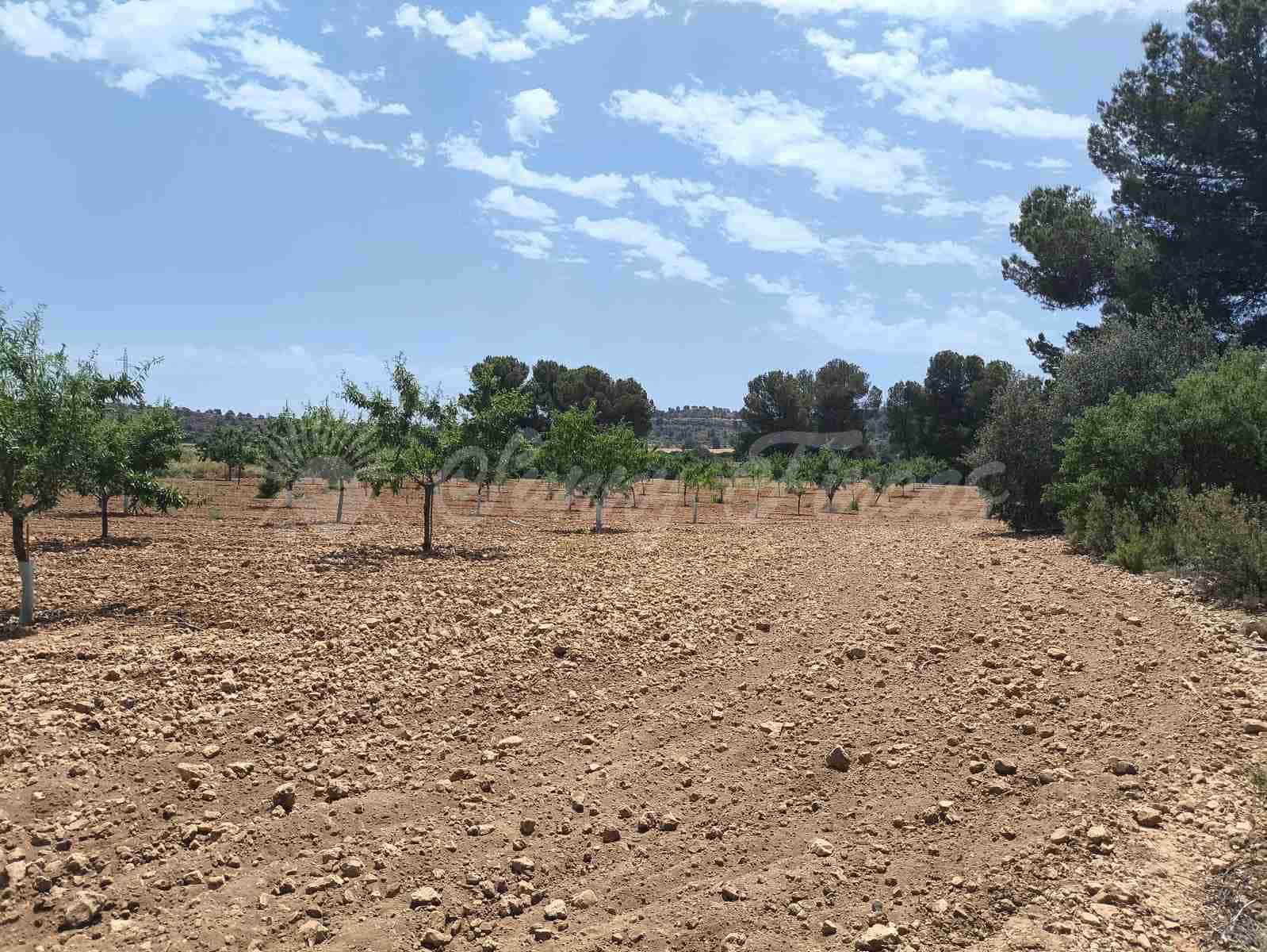 2 bedroom Finca/Country House for sale in Jumilla - € 58,000 (Ref: 9841087)