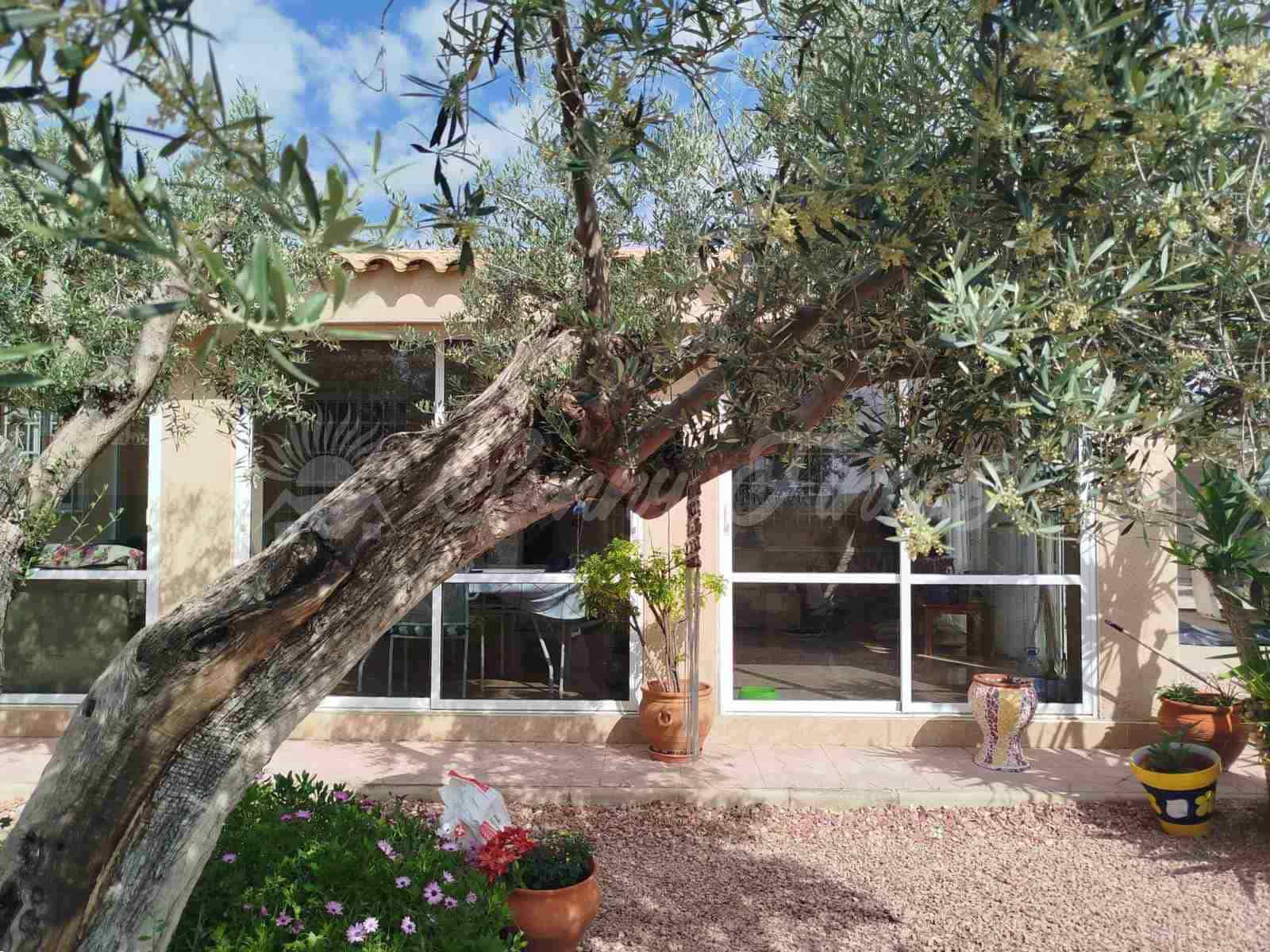 3 quarto Moradia em Banda para venda em La Romana com piscina garagem - 290 000 € (Ref: 9844045)