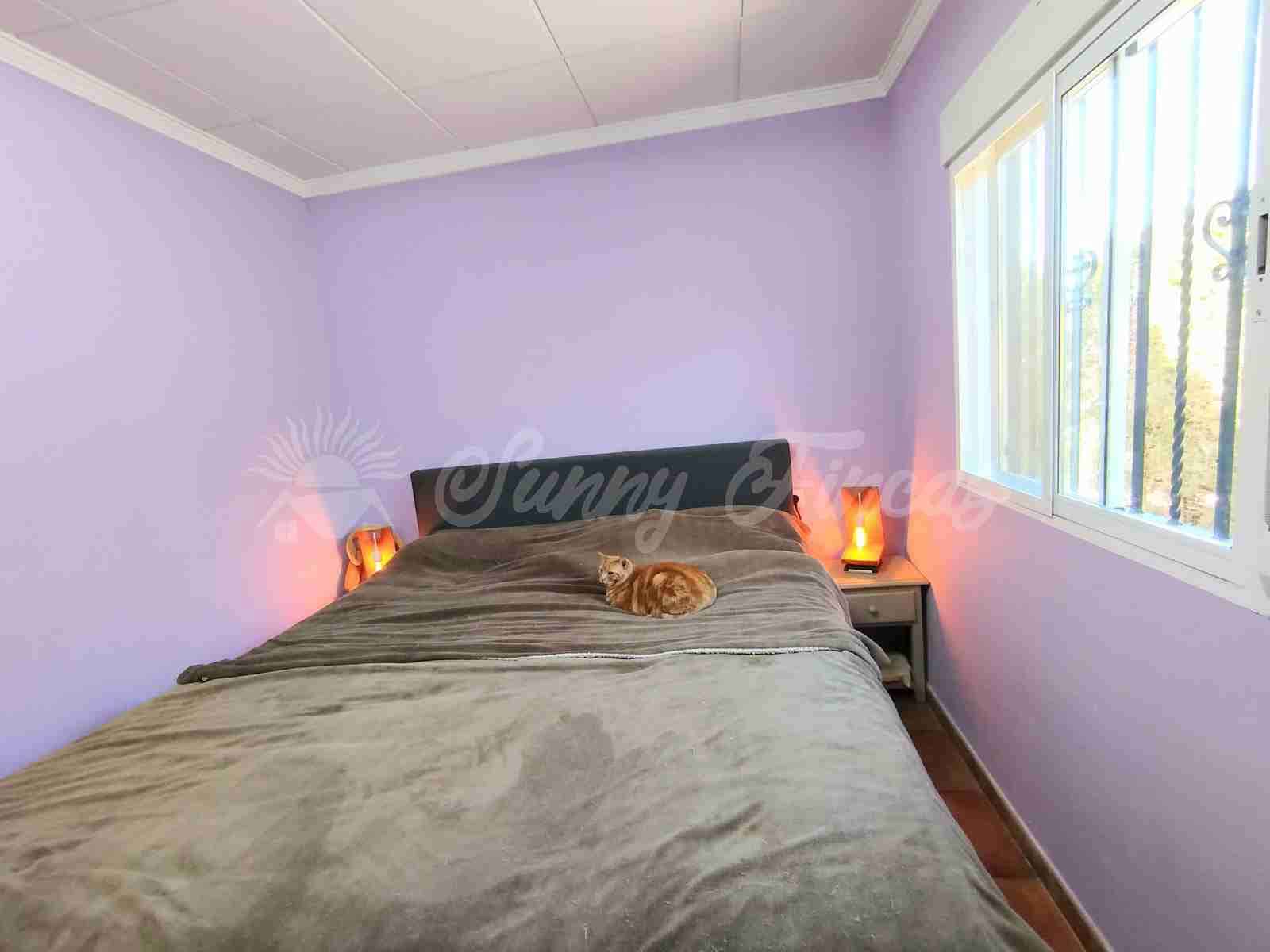 2 slaapkamer Finca/Landhuis te koop in Caudete met zwembad garage - € 159.500 (Ref: 9866338)