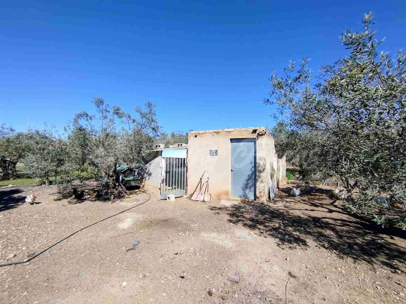 2 slaapkamer Finca/Landhuis te koop in Caudete met zwembad garage - € 159.500 (Ref: 9866338)
