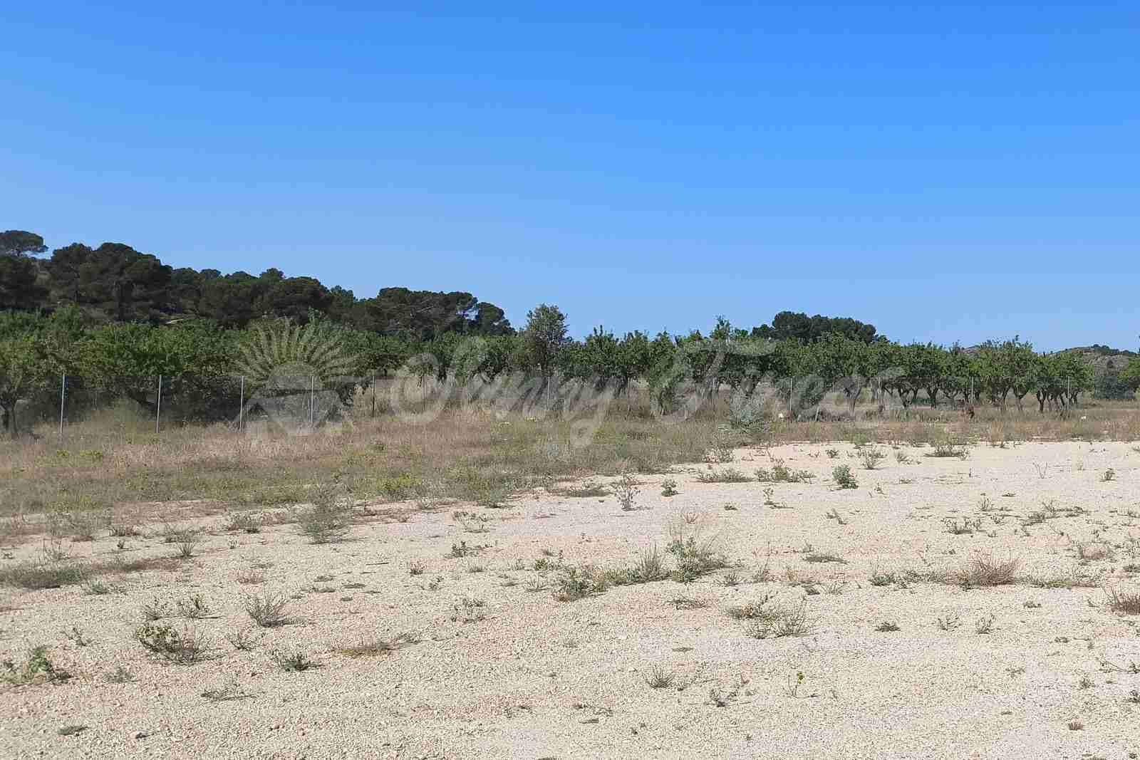 2 bedroom Finca/Country House for sale in Caudete with pool garage - € 165,000 (Ref: 9890723)
