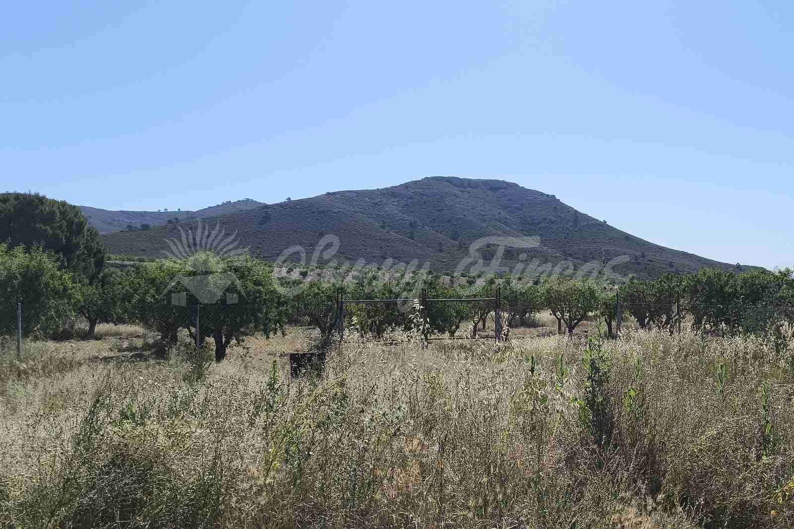 2 bedroom Finca/Country House for sale in Caudete with pool garage - € 165,000 (Ref: 9890723)
