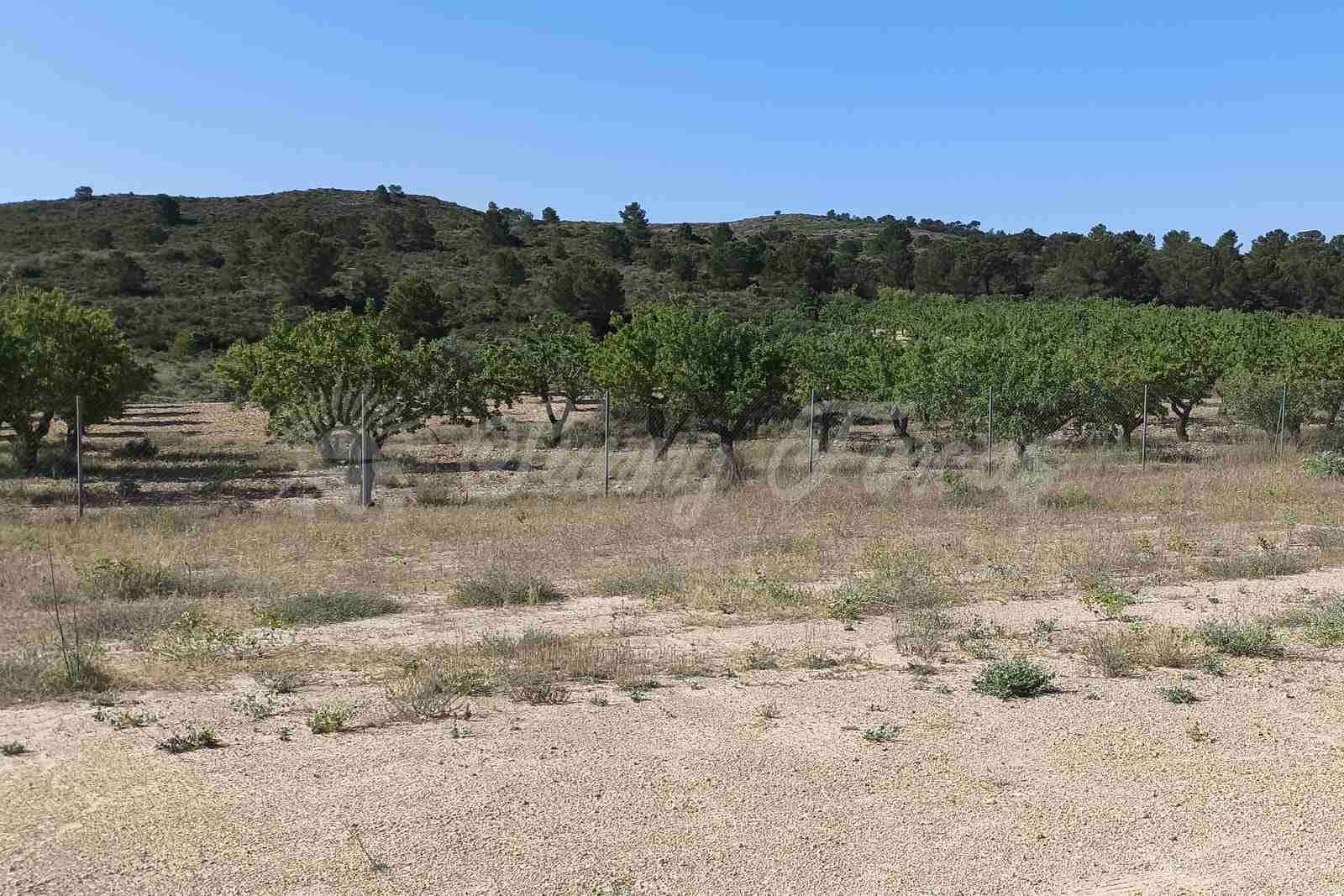 2 bedroom Finca/Country House for sale in Caudete with pool garage - € 165,000 (Ref: 9890723)