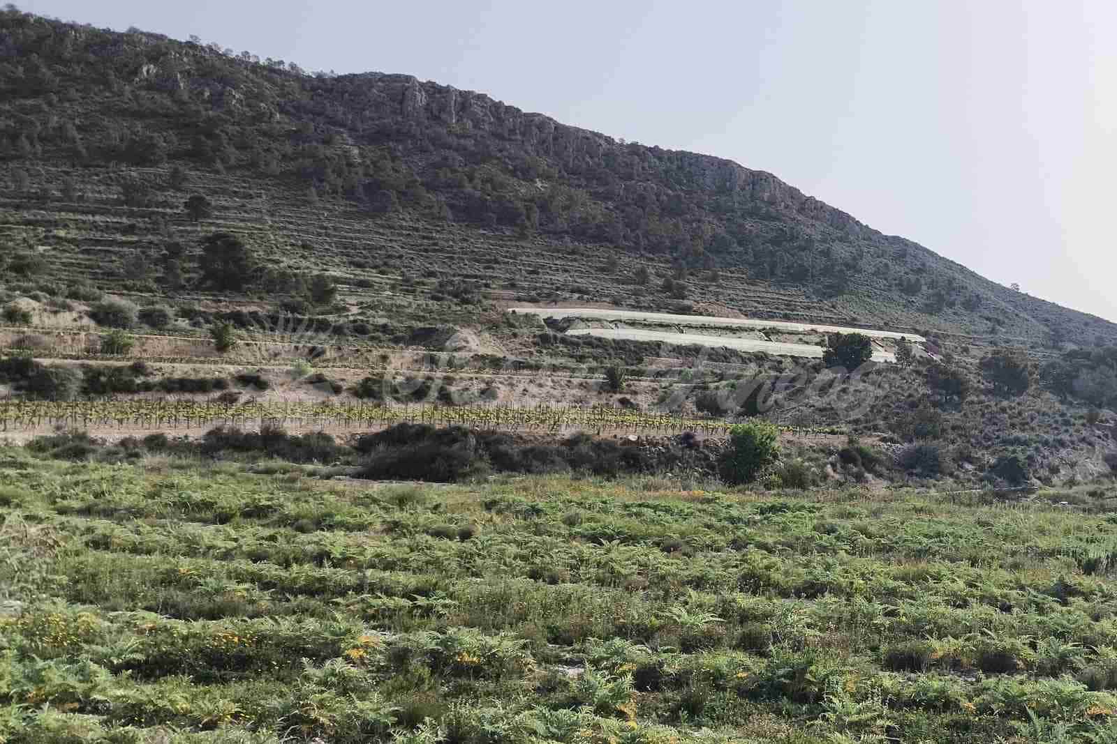 Building Plot for sale in La Romana - € 60,000 (Ref: 9891018)