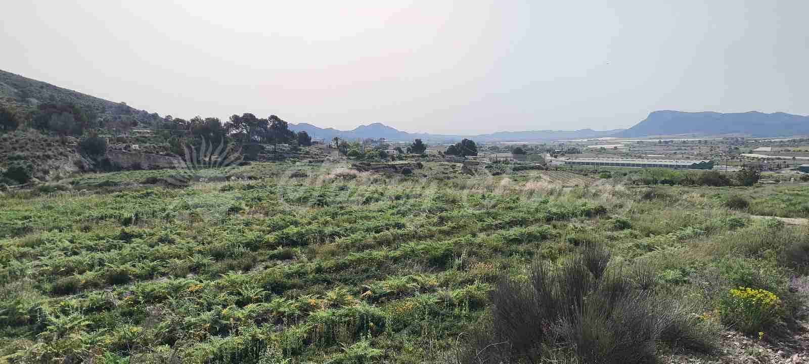 Building Plot for sale in La Romana - € 60,000 (Ref: 9891018)