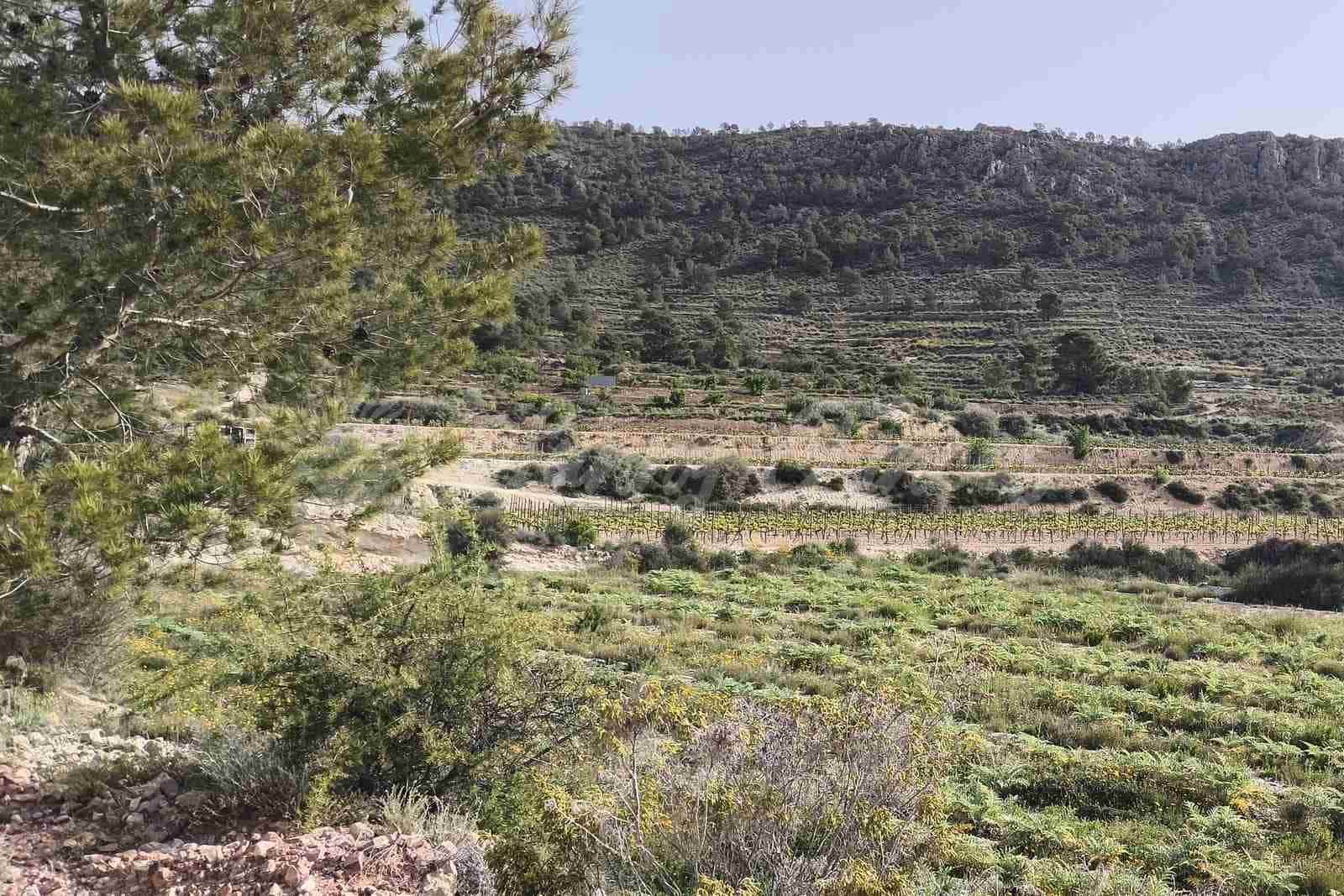 Building Plot for sale in La Romana - € 60,000 (Ref: 9891018)