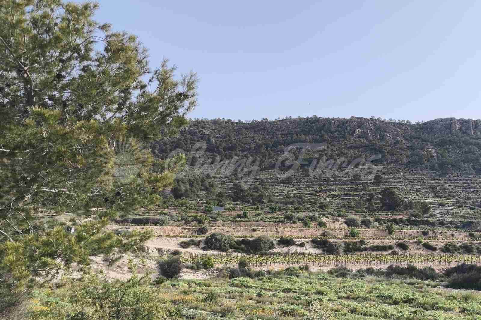 Building Plot for sale in La Romana - € 60,000 (Ref: 9891018)