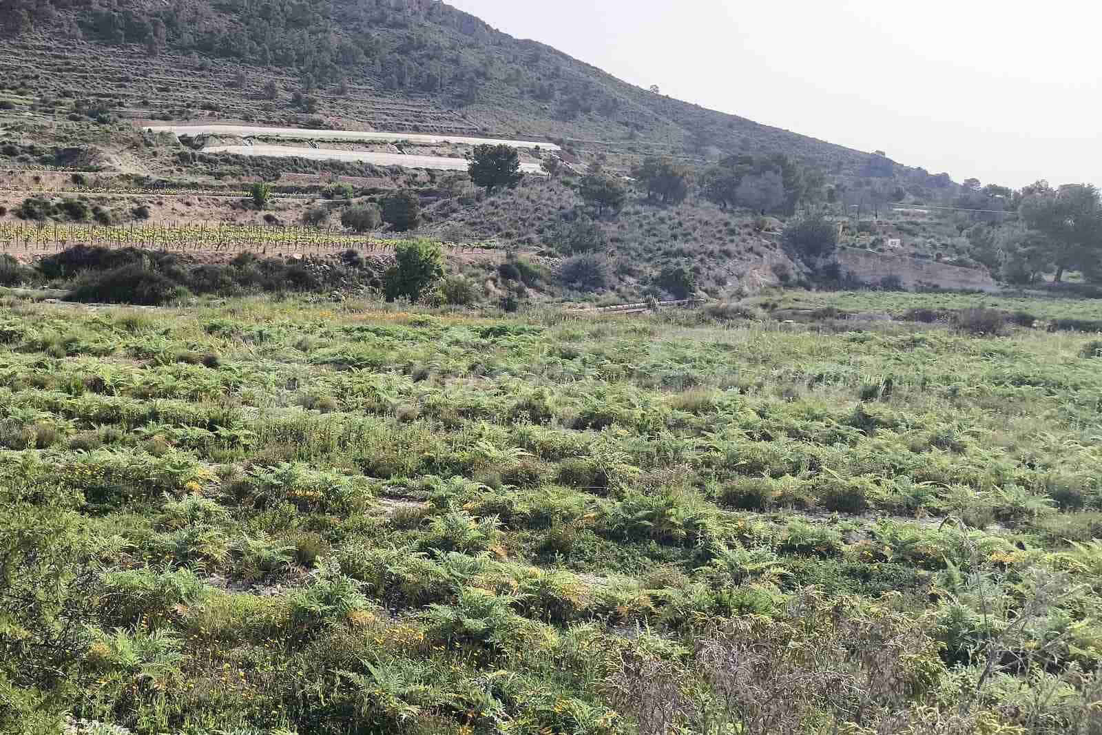 Building Plot for sale in La Romana - € 60,000 (Ref: 9891018)