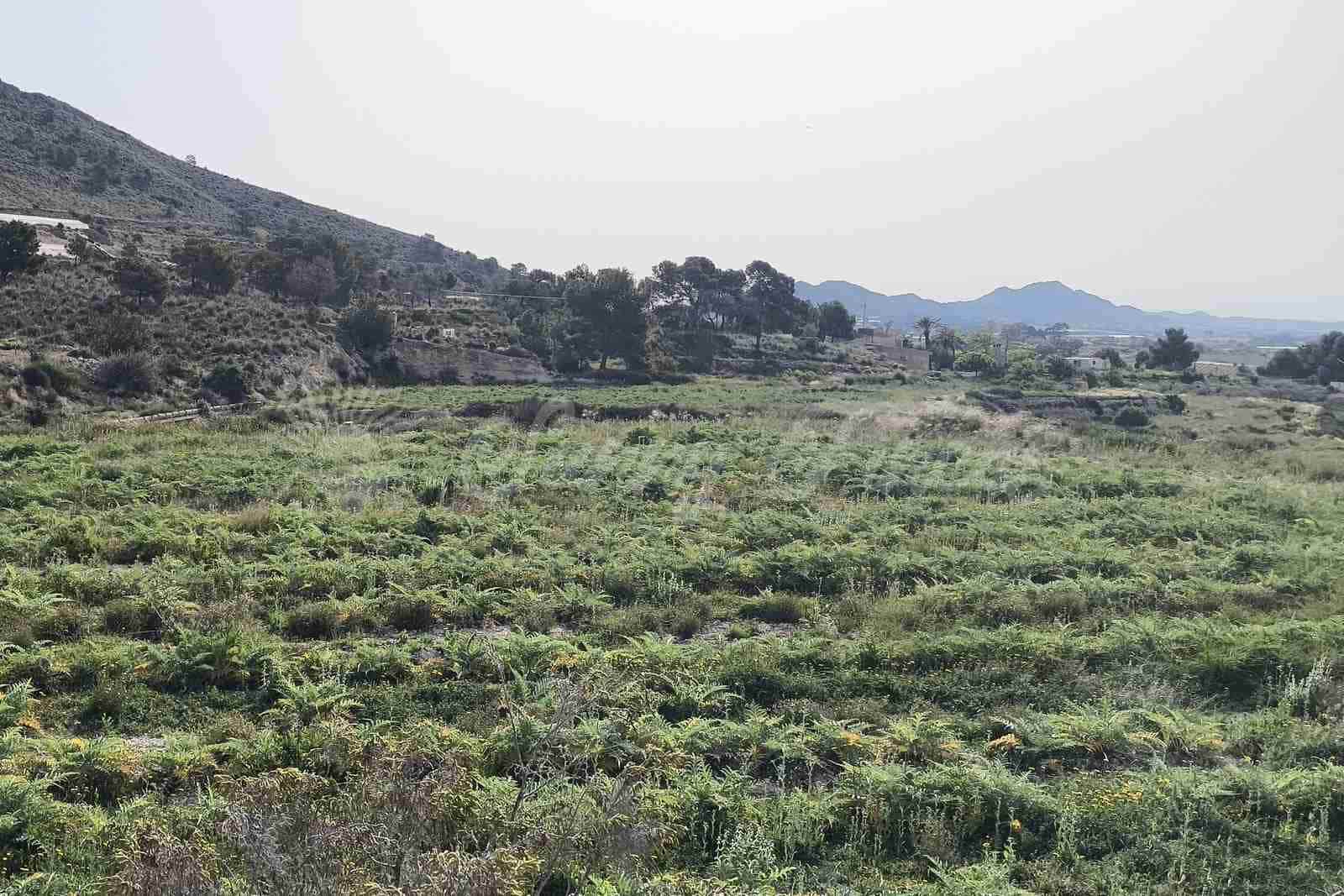 Building Plot for sale in La Romana - € 60,000 (Ref: 9891018)