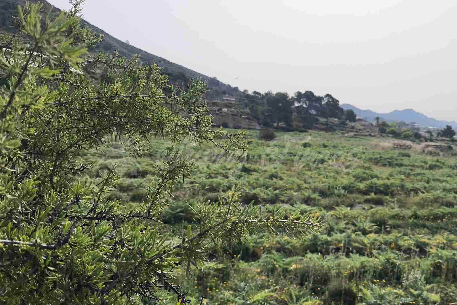 Building Plot for sale in La Romana - € 60,000 (Ref: 9891020)