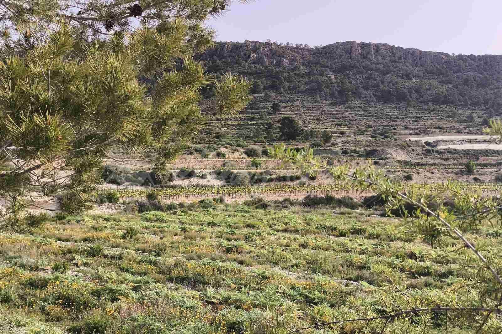 Building Plot for sale in La Romana - € 60,000 (Ref: 9891020)