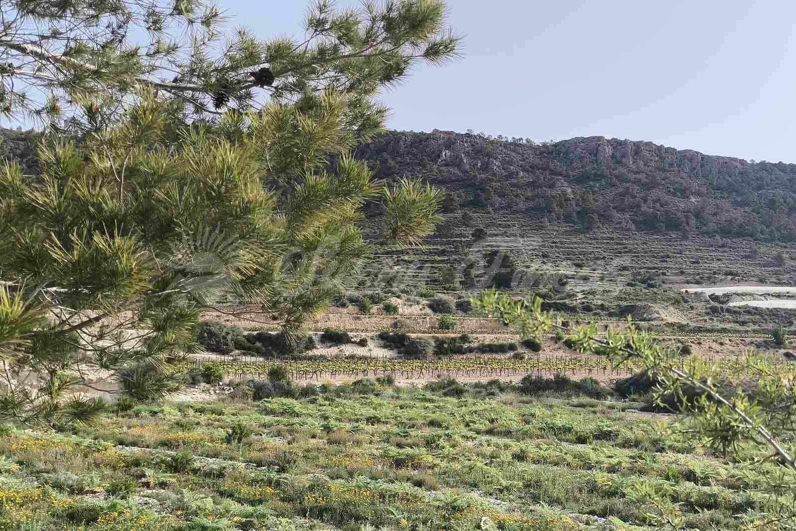 Building Plot for sale in La Romana - € 60,000 (Ref: 9891020)