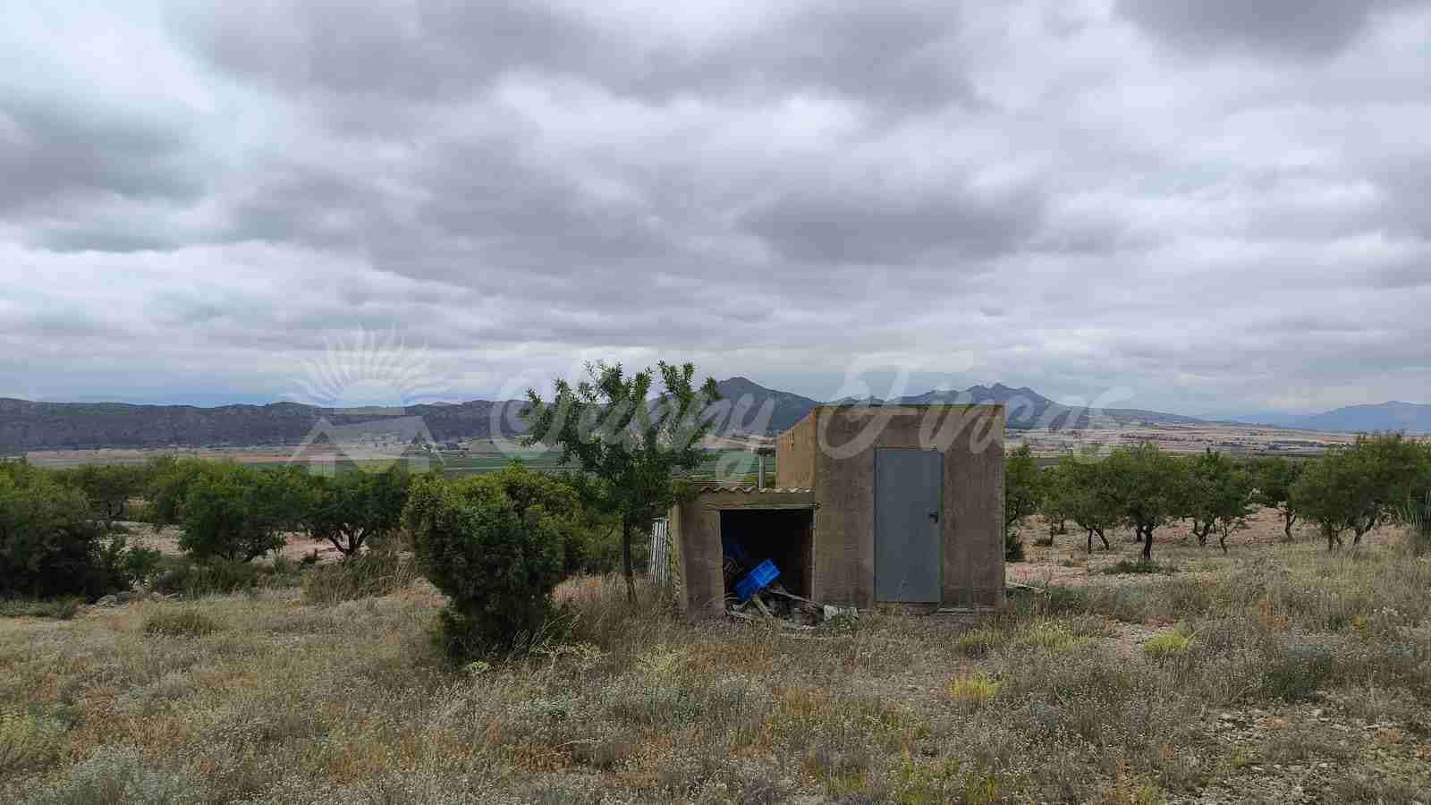 Finca/Country House for sale in Caudete with garage - € 39,000 (Ref: 9918951)