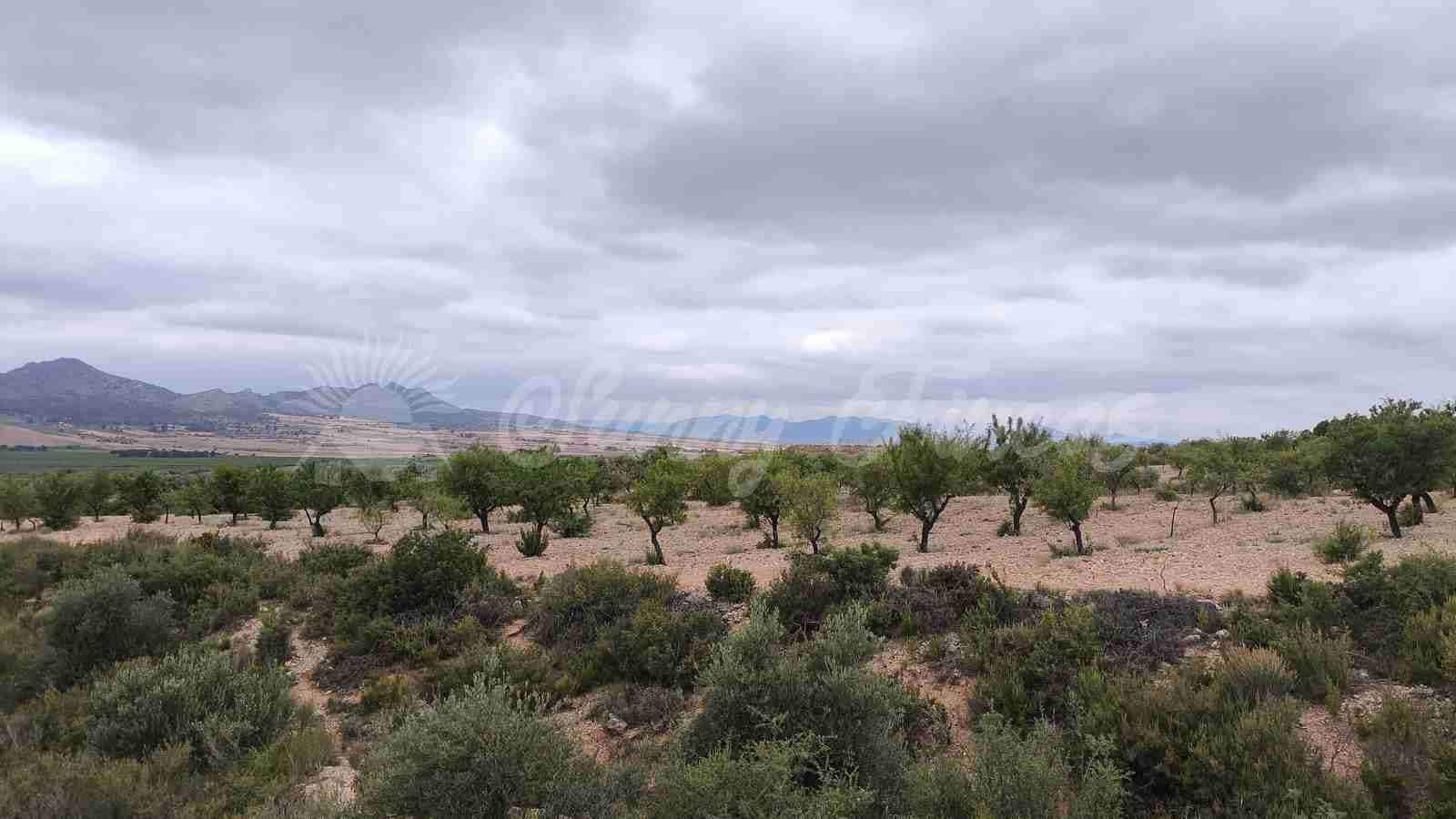 Finca/Country House for sale in Caudete with garage - € 39,000 (Ref: 9918951)
