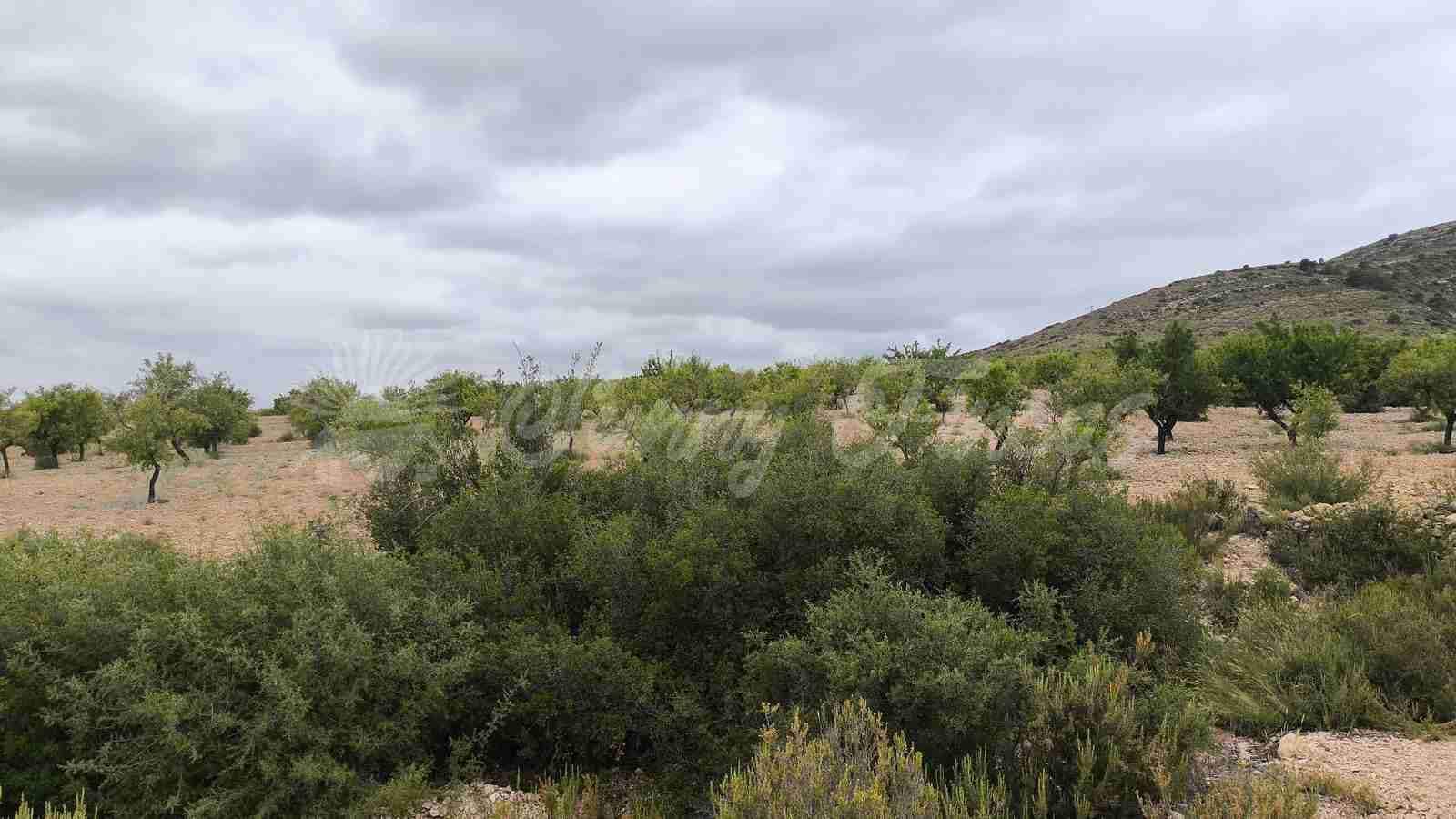 Finca/Country House for sale in Caudete with garage - € 39,000 (Ref: 9918951)