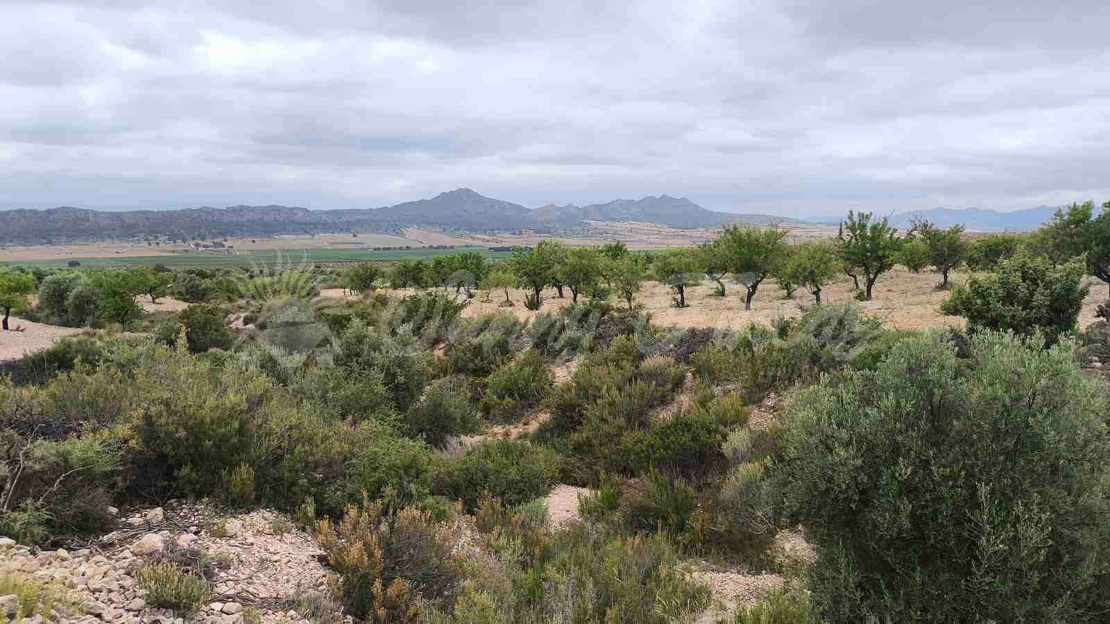 Finca/Country House for sale in Caudete with garage - € 39,000 (Ref: 9918951)