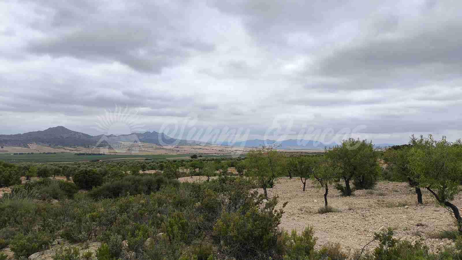 Finca/Country House for sale in Caudete with garage - € 39,000 (Ref: 9918951)