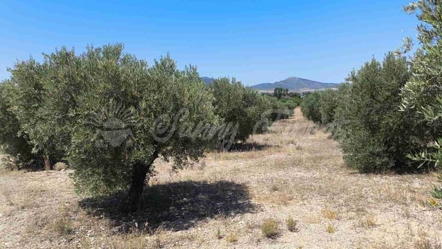 Grunde uden byggetilladelser til salg i Yecla - € 69.900 (Ref: 9918991)