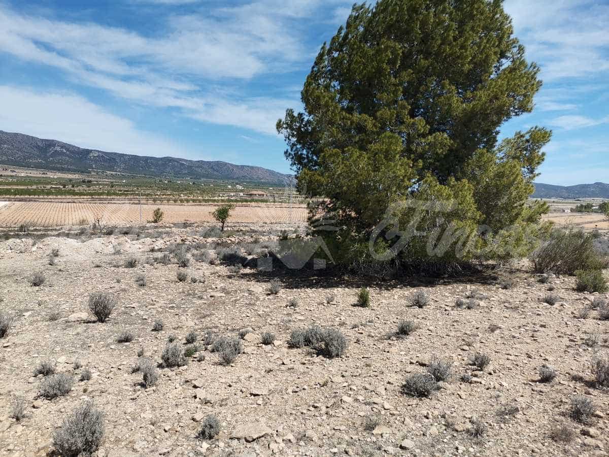 Area Edificabile in vendita in Lel - 50.000 € (Rif: 9935350)