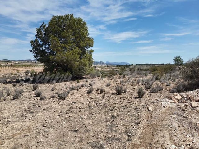 Area Edificabile in vendita in Lel, Pinoso - 50.000 € (Rif: 9935350)
