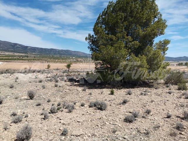 Area Edificabile in vendita in Lel, Pinoso - 50.000 € (Rif: 9935350)