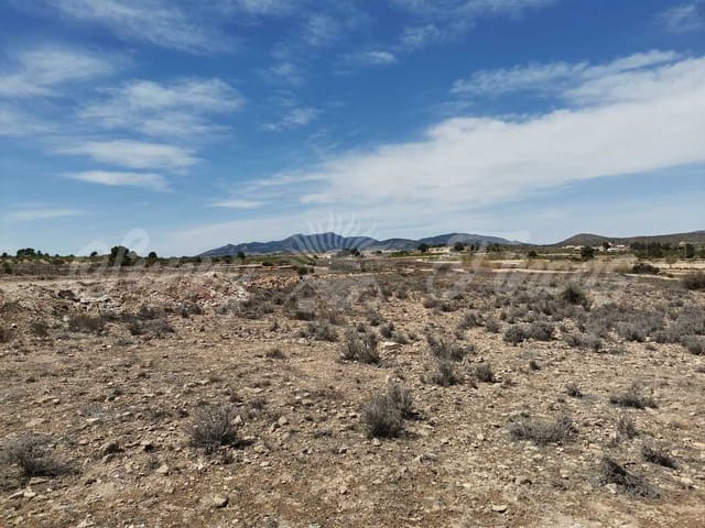 Area Edificabile in vendita in Lel, Pinoso - 50.000 € (Rif: 9935350)