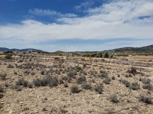 Area Edificabile in vendita in Lel, Pinoso - 50.000 € (Rif: 9935350)