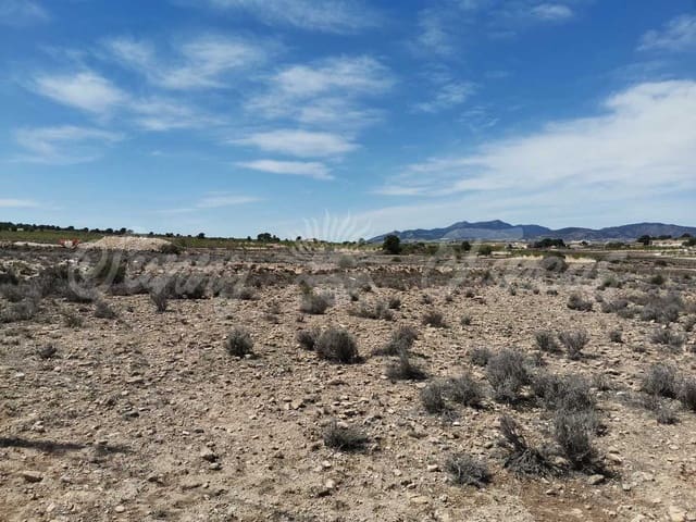 Area Edificabile in vendita in Lel, Pinoso - 50.000 € (Rif: 9935350)