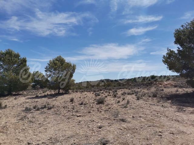 Area Edificabile in vendita in Lel, Pinoso - 50.000 € (Rif: 9935350)