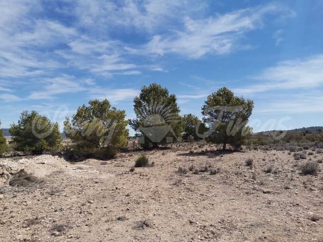 Area Edificabile in vendita in Lel, Pinoso - 50.000 € (Rif: 9935350)