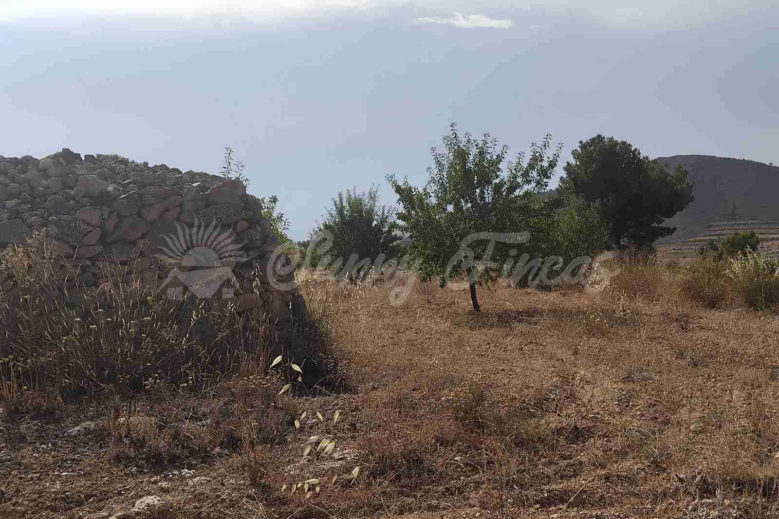 6 soverom Finca/Herregård til salgs i La Romana med garasje - € 160 000 (Ref: 9938800)