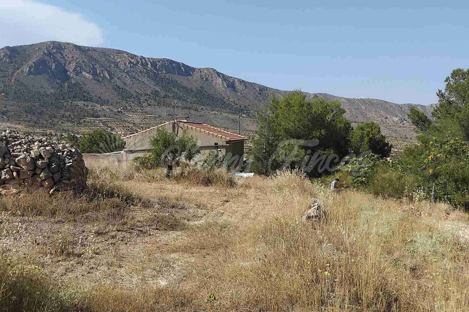 6 soverom Finca/Herregård til salgs i La Romana med garasje - € 160 000 (Ref: 9938800)