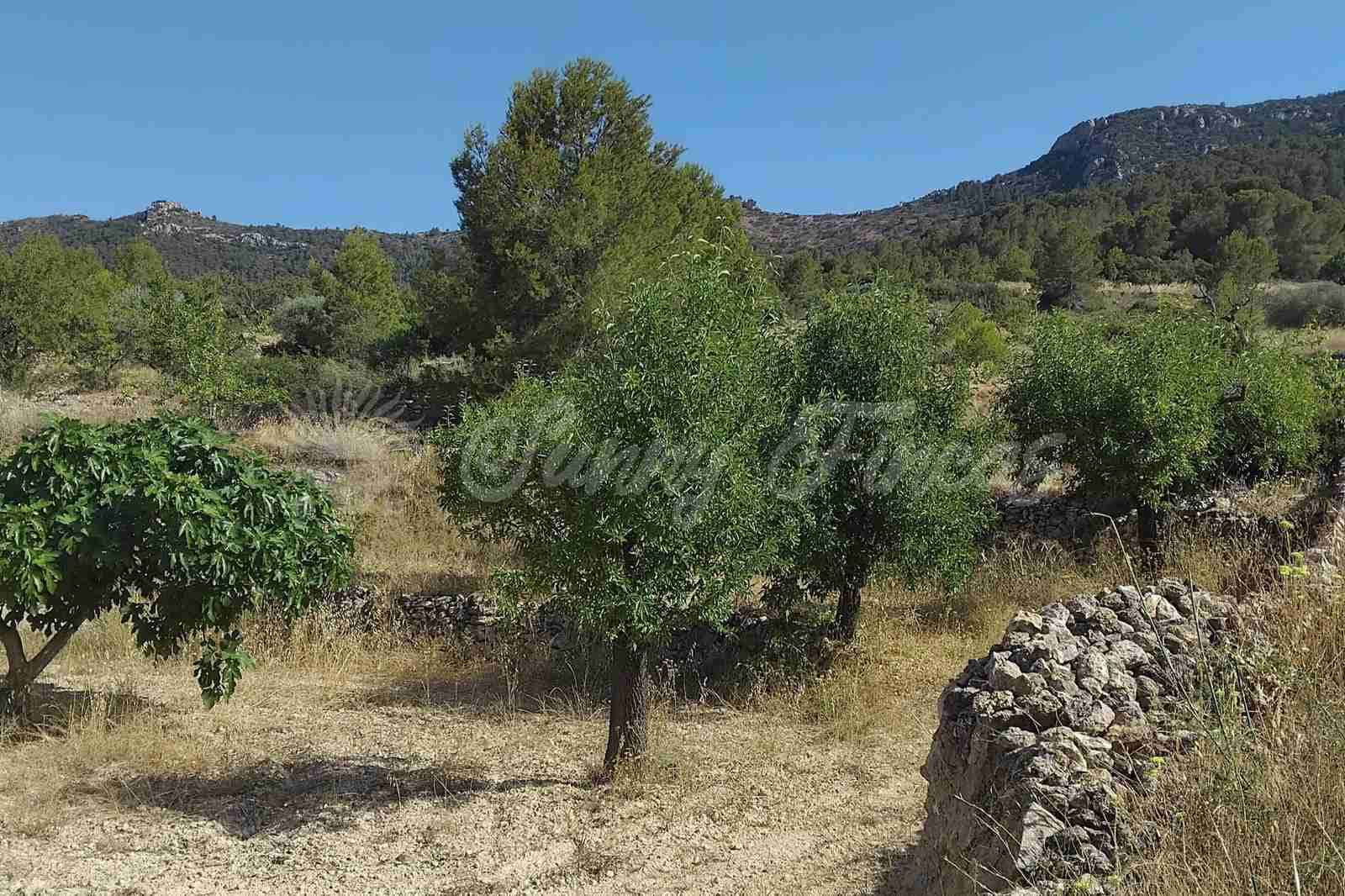 6 soverom Finca/Herregård til salgs i La Romana med garasje - € 160 000 (Ref: 9938800)