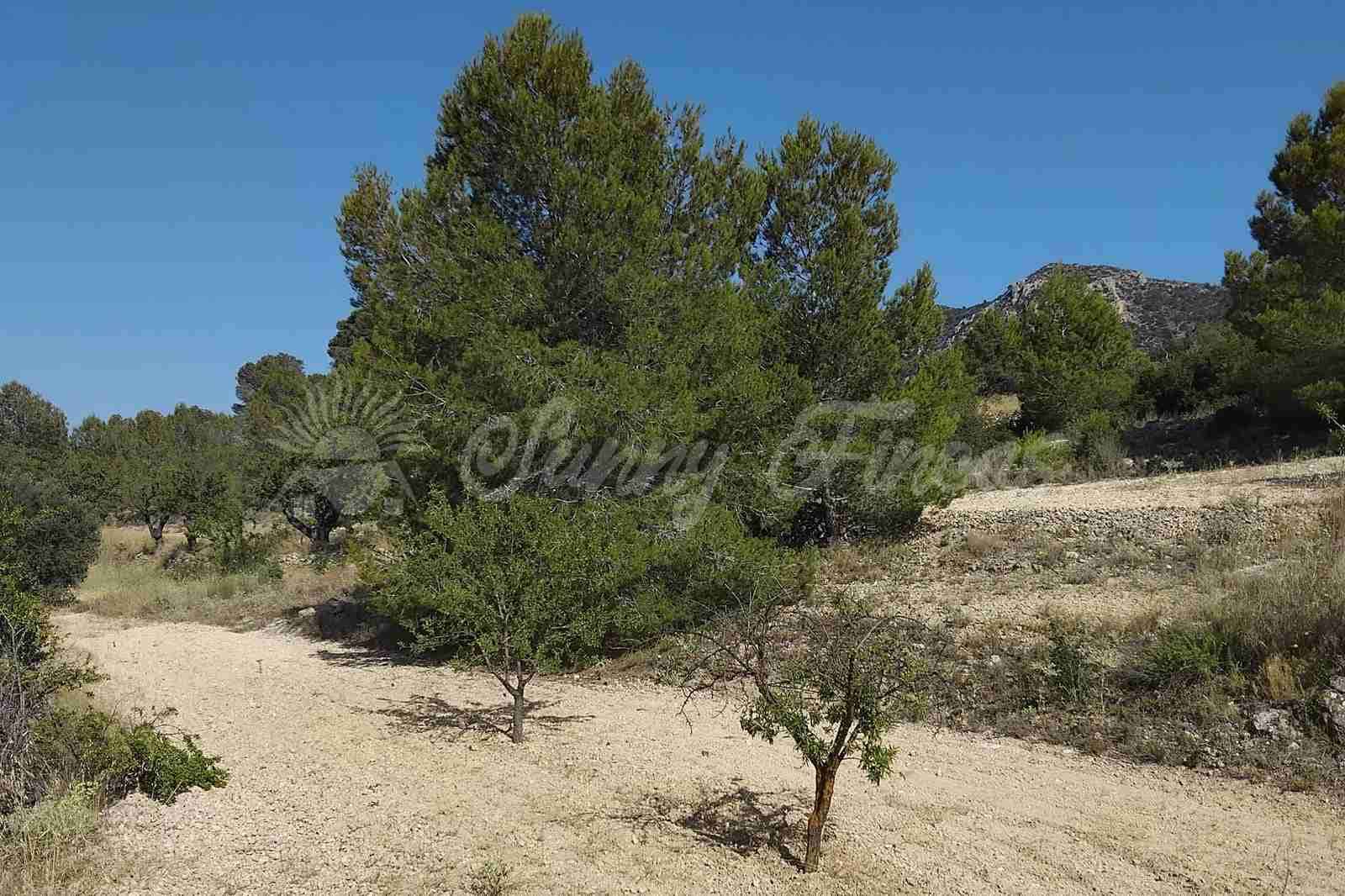 6 soverom Finca/Herregård til salgs i La Romana med garasje - € 160 000 (Ref: 9938800)