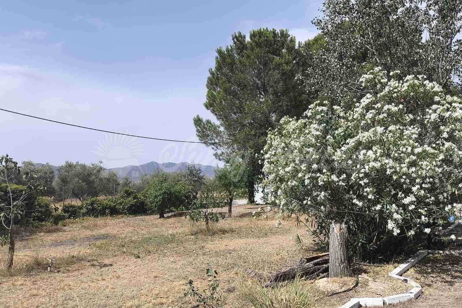 4 camera da letto Finca/Casa di Campagna in vendita in Yecla con piscina garage - 219.000 € (Rif: 9961697)