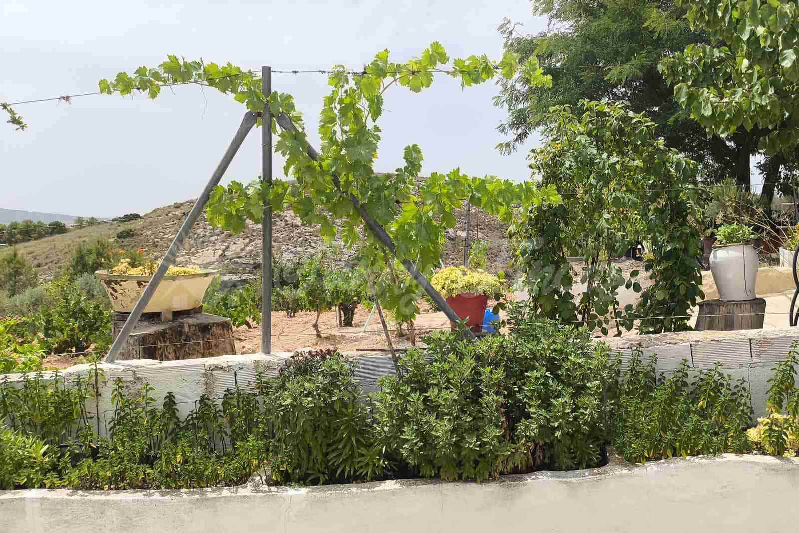 4 soveværelse Finca/Landehus til salg i Montealegre del Castillo med swimmingpool garage - € 210.000 (Ref: 9965929)