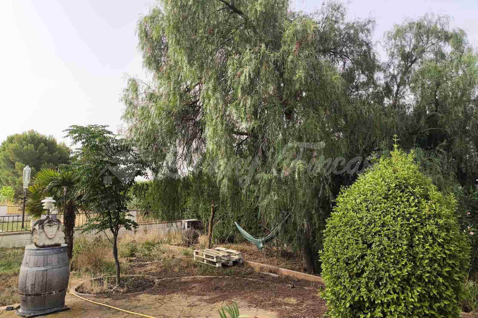 5 slaapkamer Villa te koop in Yecla met zwembad garage - € 287.000 (Ref: 9976114)