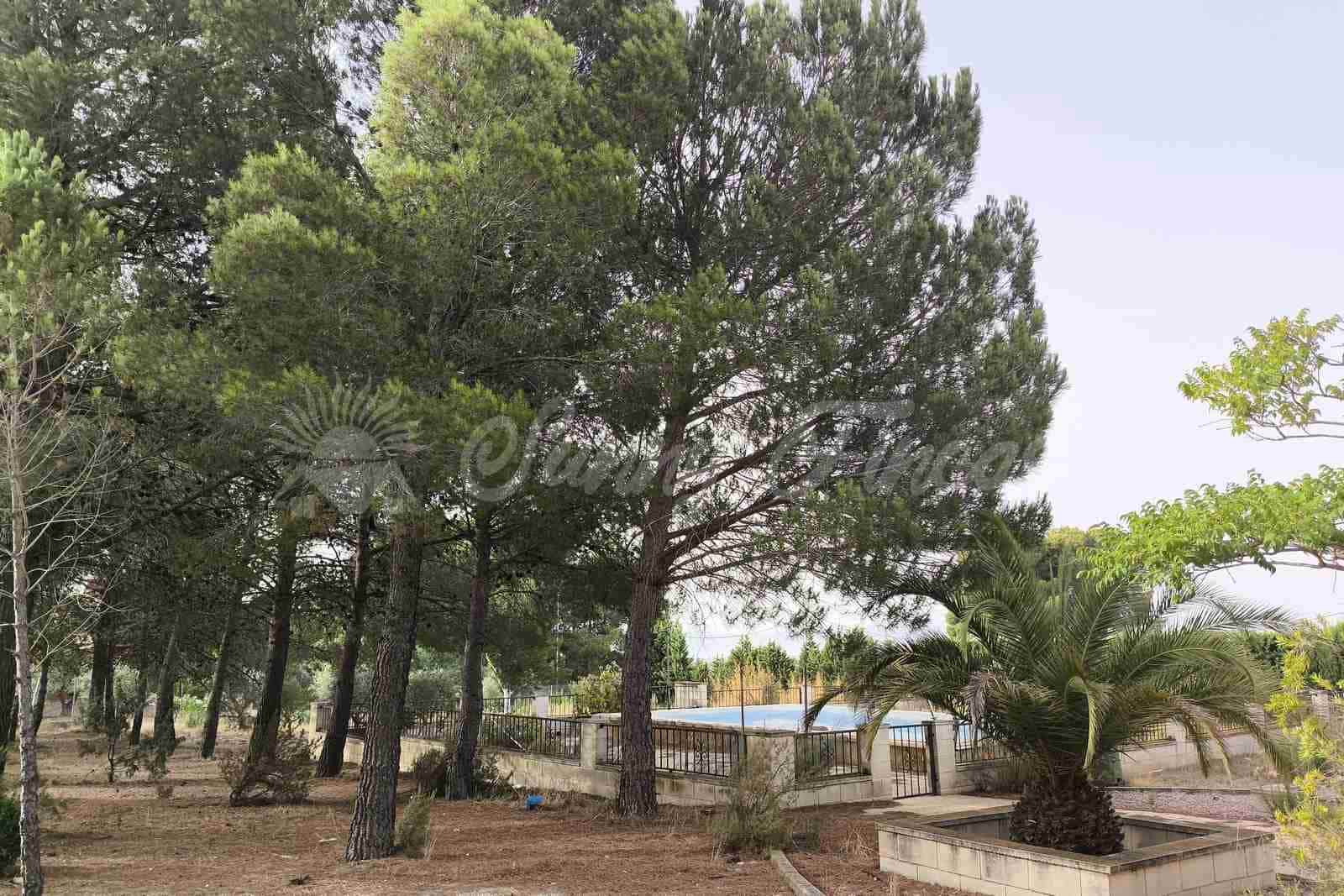 5 slaapkamer Villa te koop in Yecla met zwembad garage - € 287.000 (Ref: 9976114)
