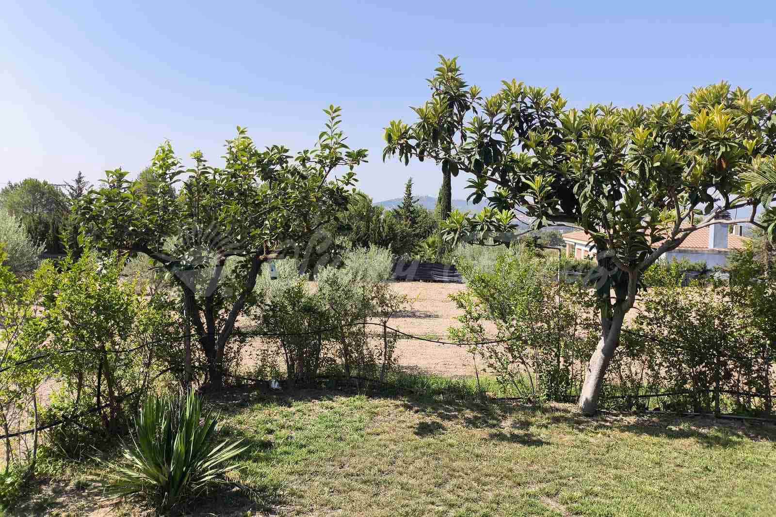 4 Zimmer Finca/Landgut zu verkaufen in Yecla mit Pool Garage - 315.000 € (Ref: 9987229)