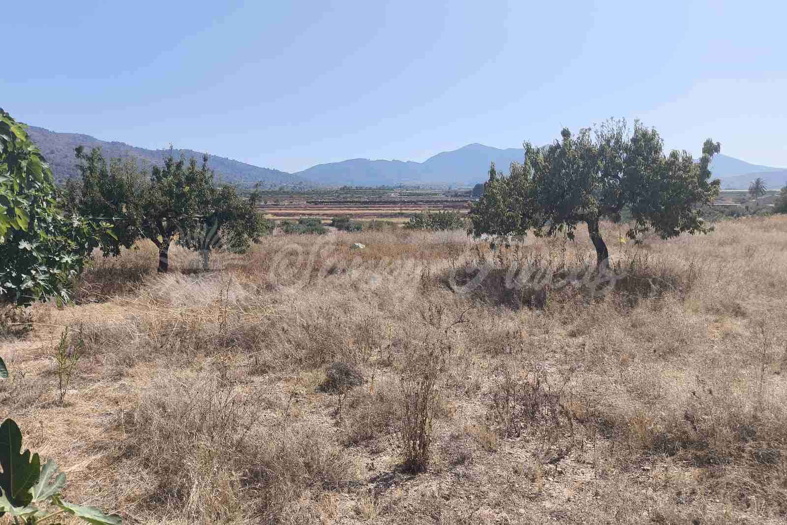 4 soverom Finca/Herregård til salgs i La Romana med garasje - € 149 000 (Ref: 9989410)