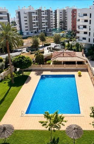 Studio do wynajęcia w PAU, Miasto Alicante / Alacant z basenem - 895 € (Ref: 10018269)