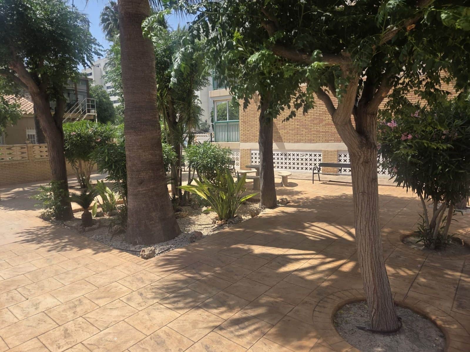 Studio do wynajęcia w Miasto Alicante / Alacant z basenem - 895 € (Ref: 10018269)
