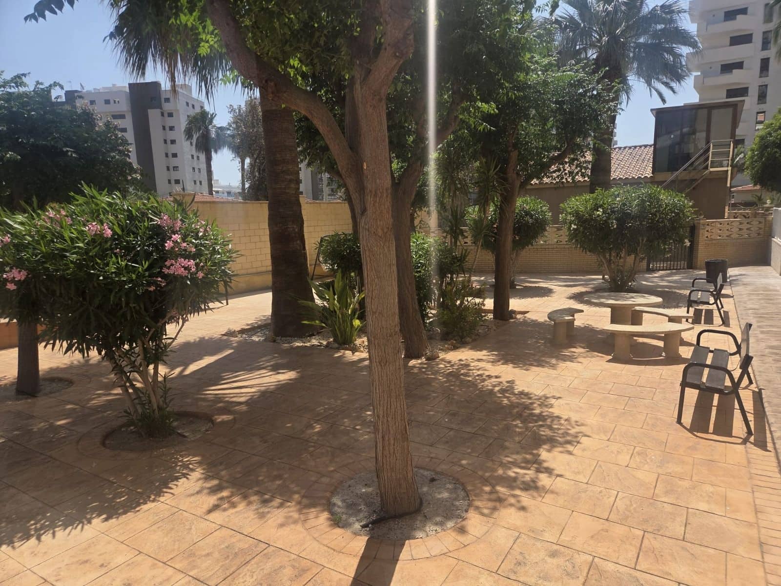 Studio do wynajęcia w Miasto Alicante / Alacant z basenem - 895 € (Ref: 10018269)