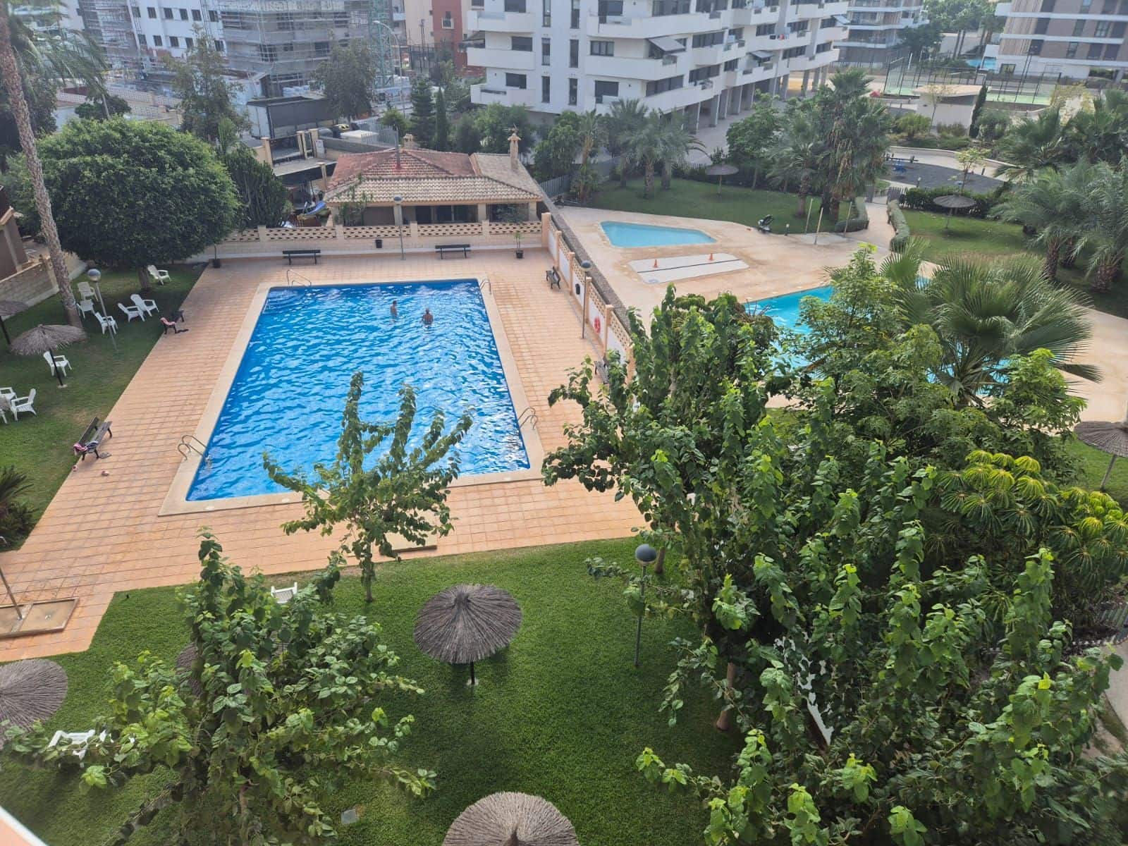 Studio do wynajęcia w Miasto Alicante / Alacant z basenem - 895 € (Ref: 10018269)