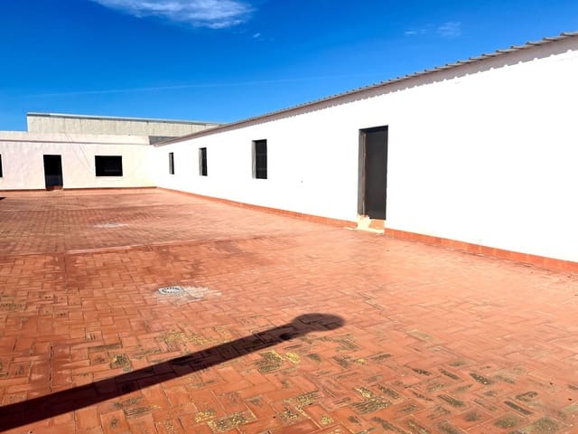 Erhverv til leje i Alicante by med garage - € 4.600 (Ref: 8817135)