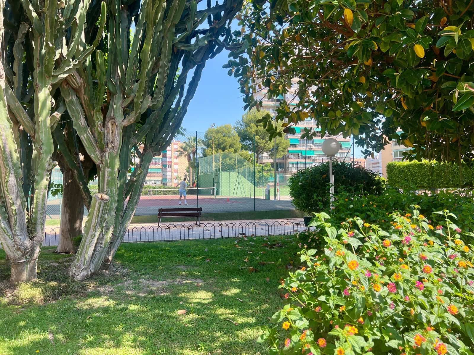 2 slaapkamer Flat te koop in Alicante stad met zwembad garage - € 275.000 (Ref: 9869897)