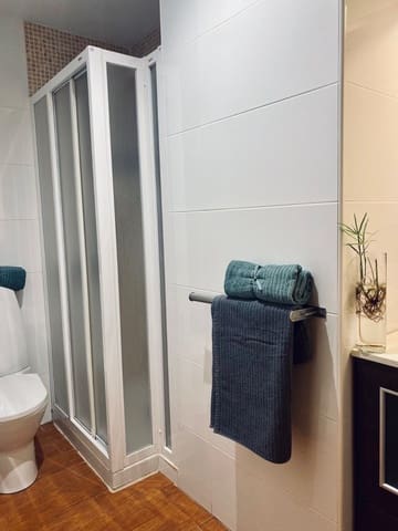 1 camera da letto Appartamento da affittare in Barrio del Centro, Alicante città - 950 € (Rif: 9939468)